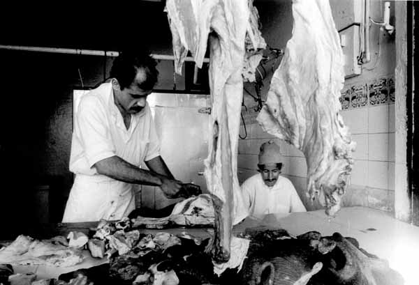 <Agadir>