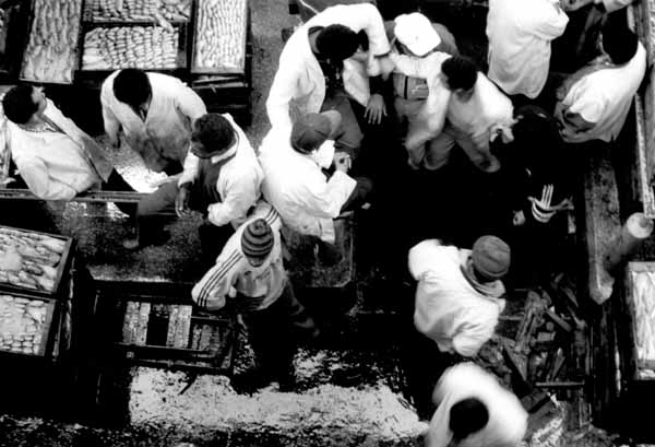 <Agadir>
