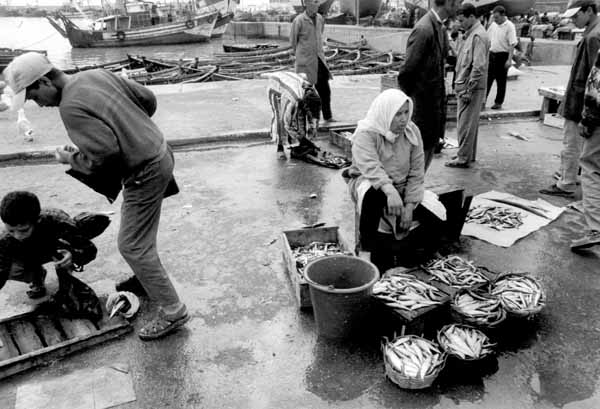 <Essaouira>