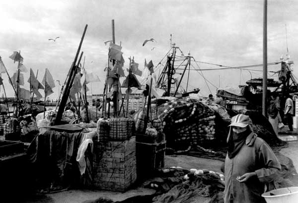 <Essaouira>