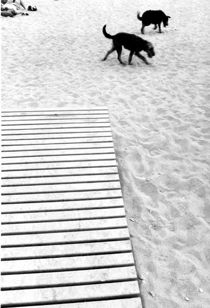 <Barcelone>
