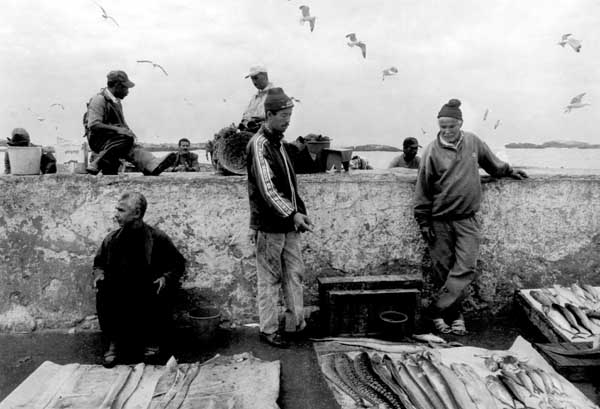 <Essaouira>