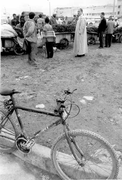 <Essaouira>