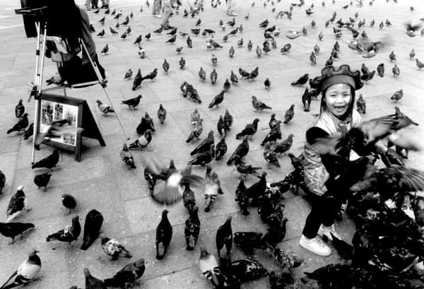 <Venise>