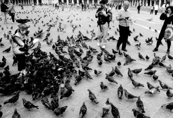 <Venise>