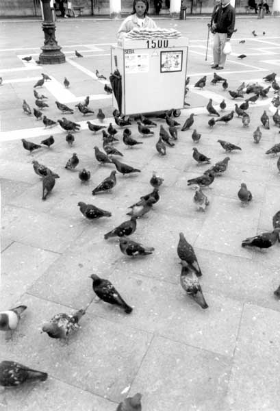 <Venise>