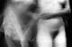 <Triptyque 04>