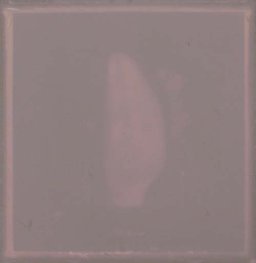 <Phossile 01>