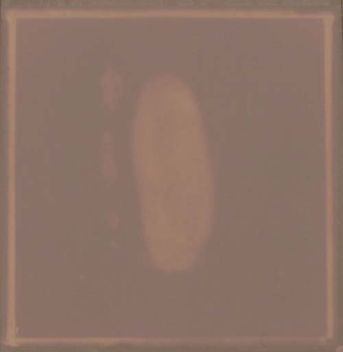 <Phossile 02>