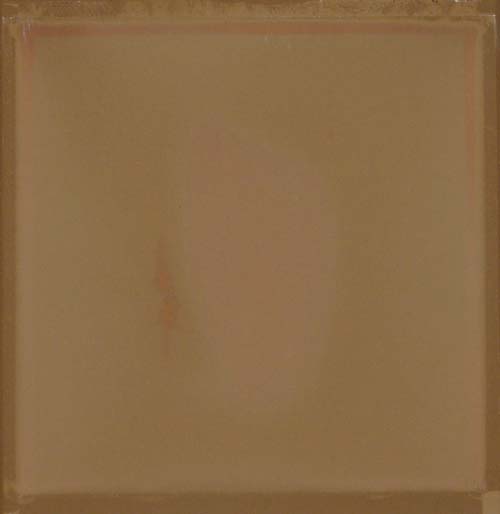 <Phossile 03>