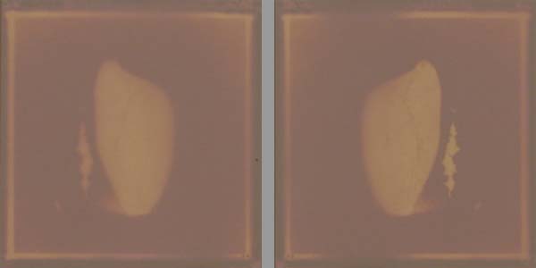 <Diptyque 01>