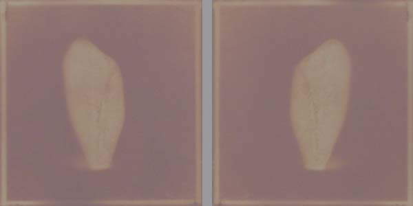 <Diptyque 03>