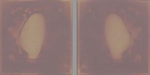 <Diptyque 04>