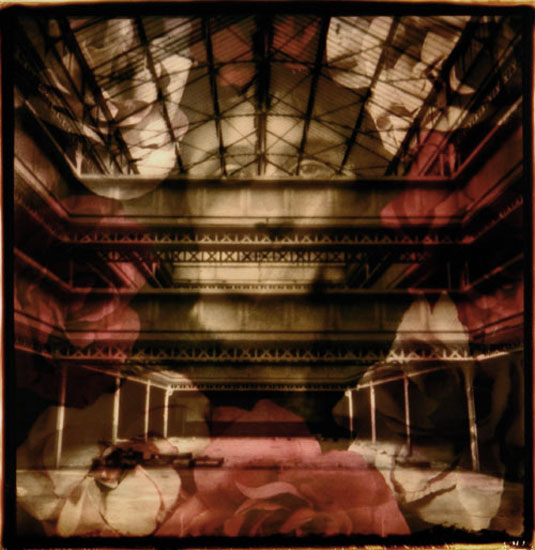 <Polaroïd 06>